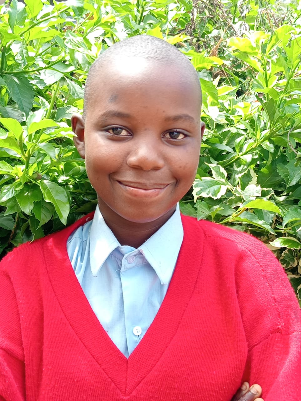 Help establish new schools